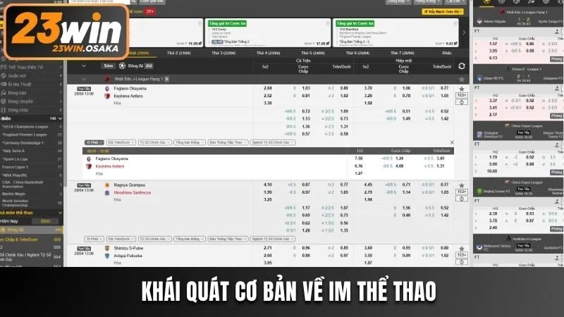 Khái quát cơ bản về IM Thể thao