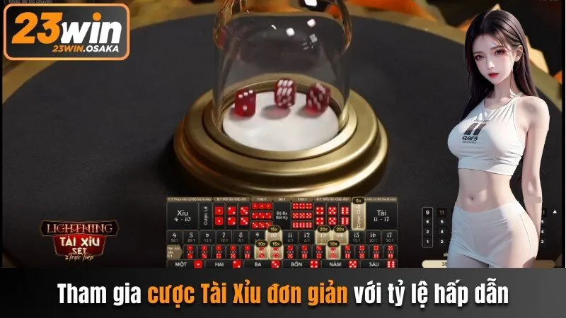 Tham gia cược Tài Xỉu đơn giản với tỷ lệ hấp dẫn